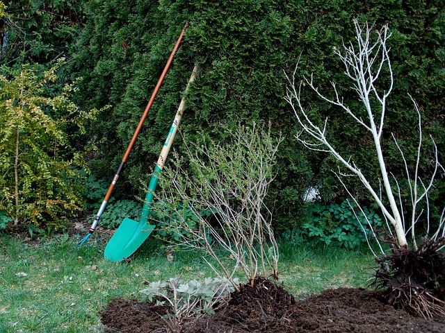 gardening-331668_640