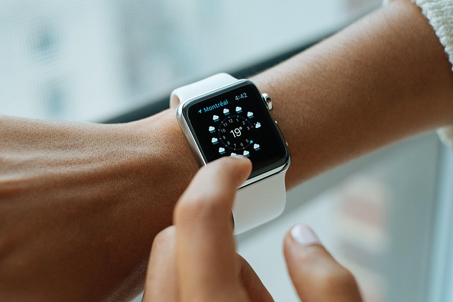 fancycrave1-smart-watch-821557_640